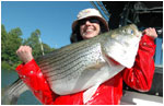 Smith Mountain Lake Striper Fishing